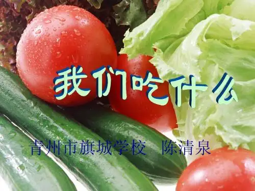 我们吃什么课件