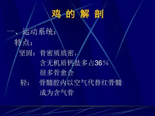 鸡的组织-结构及解剖62页PPT