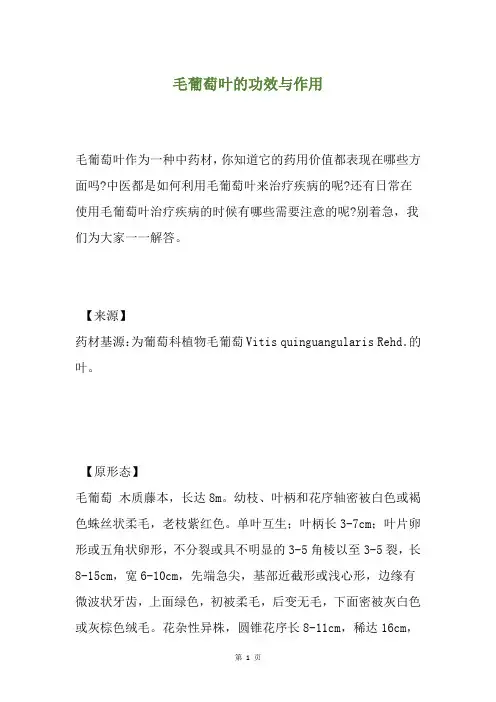 毛葡萄叶的功效与作用