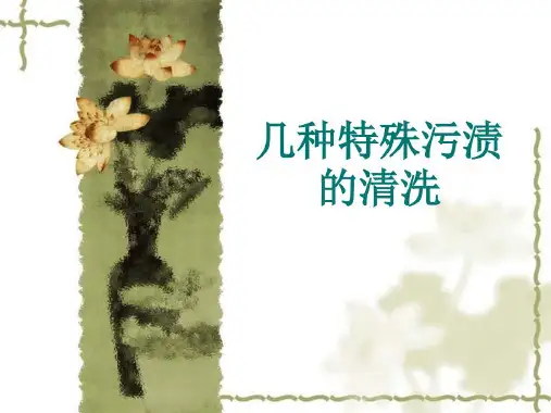 几种特殊污渍的洗涤