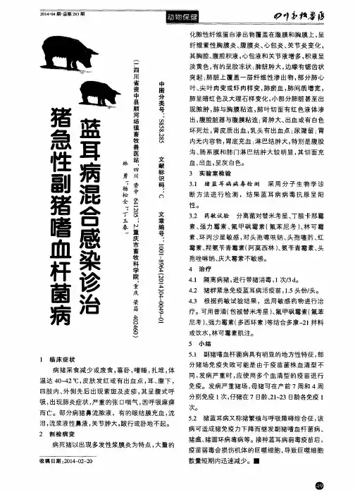 猪急性副猪嗜血杆菌病 蓝耳病混合感染诊治