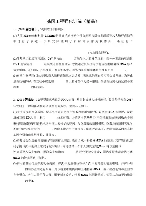 基因工程2(精品)