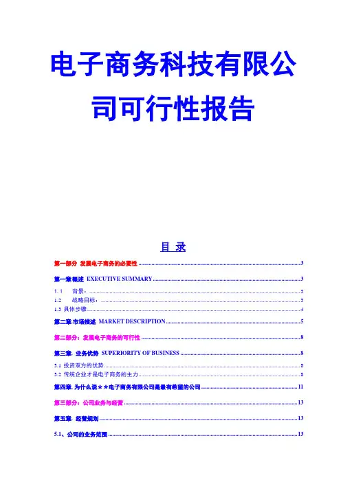 电子商务科技有限公司可行性报告