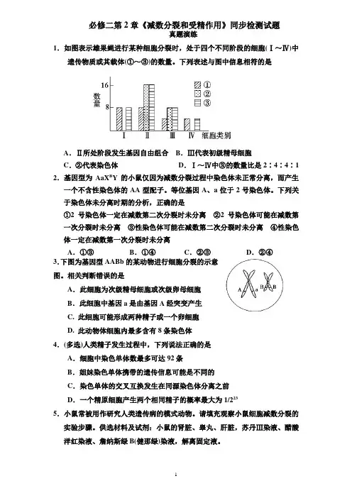 人教版生物高中必修二第2章《减数分裂和受精作用》同步检测试题2(附答案).doc