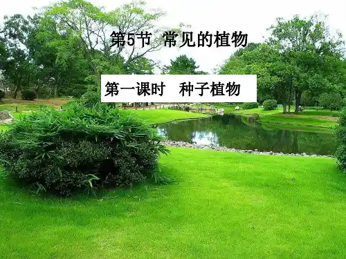 2.5常见的植物—浙教版七年级科学上册课件