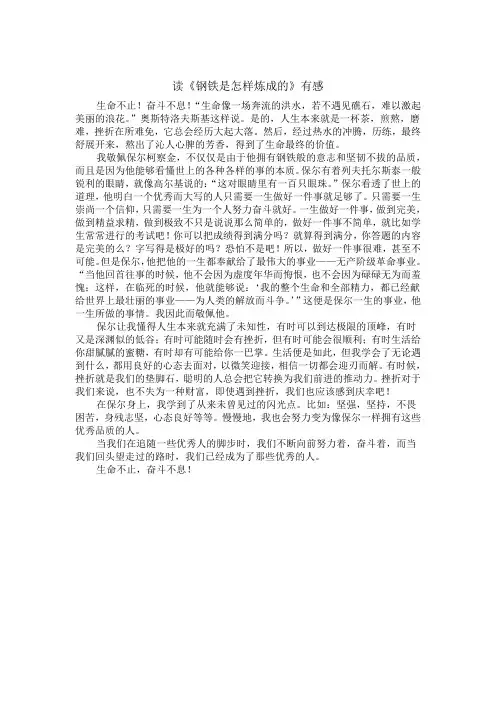 读《钢铁是怎样炼成的》有感 3