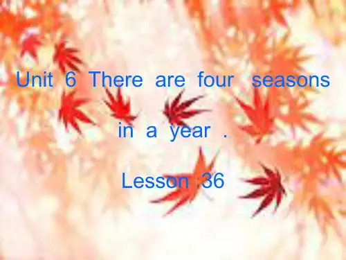 精通版 六年级上册英语 lesson36课件
