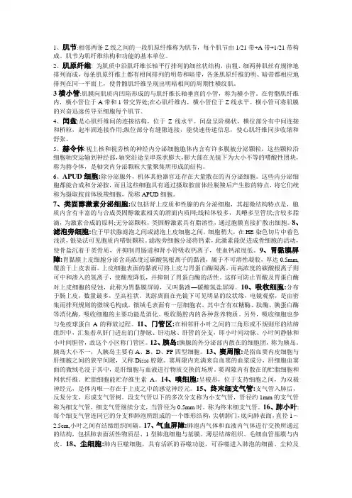 组织胚胎学