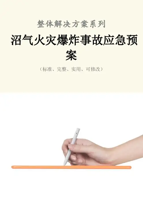 沼气火灾爆炸事故应急预案范本
