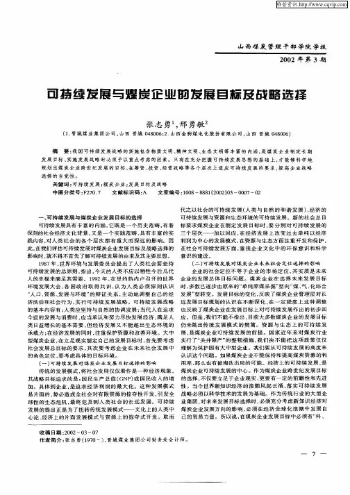 可持续发展与煤炭企业的发展目标及战略选择