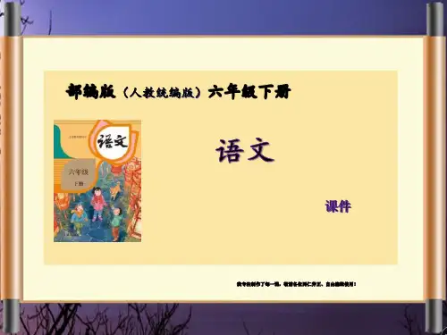 6.尼尔斯骑鹅旅行记 部编版(人教版统编版)语文六年级下册