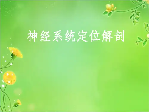 神经系统解剖定位(鲜活图片)