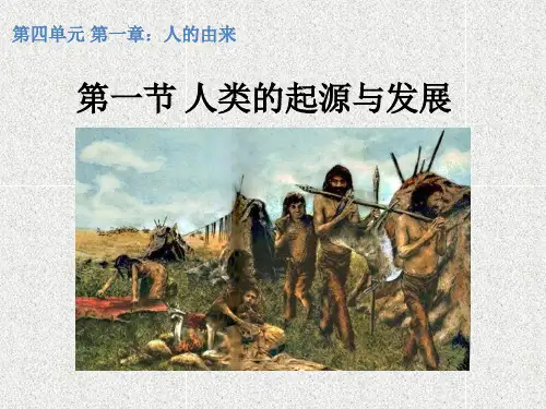 人教版 七年级 生物 下学期 第一章 第一节 人类的起源和发展