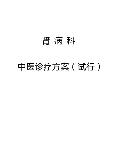 中医诊疗方案肾病科