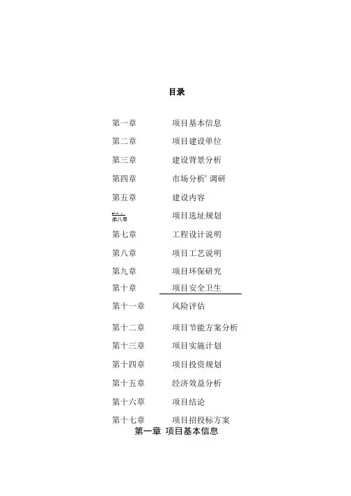 项目可行性方案