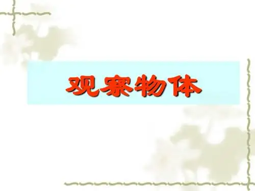 观察物体.ppt
