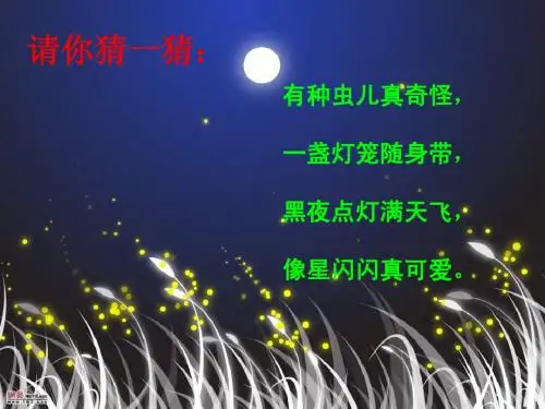细胞的能量通货-ATP(讲课)