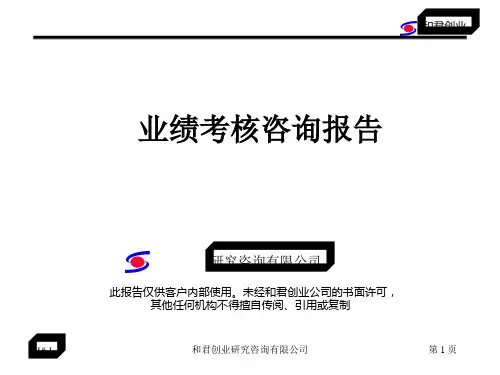 某公司实业业绩考核咨询报告