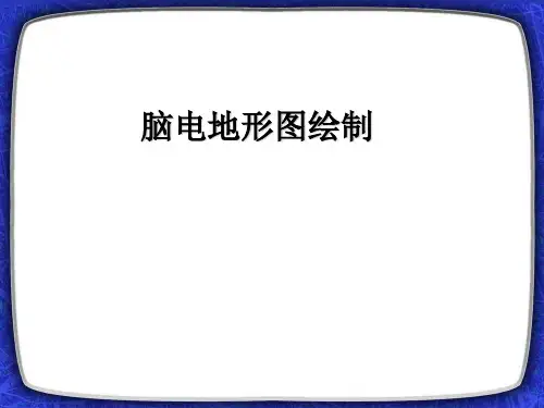 脑电地形图绘制