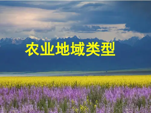农业地域类型