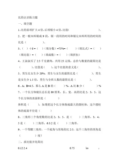 比的认识练习题
