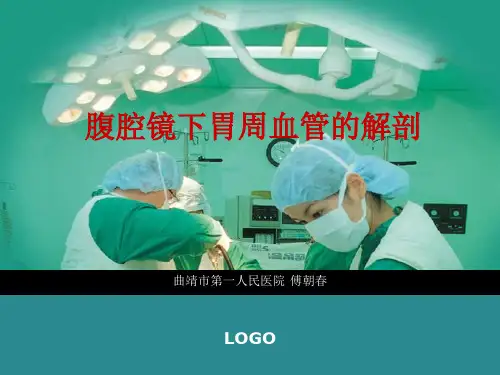 腹腔镜下胃周血管的解剖