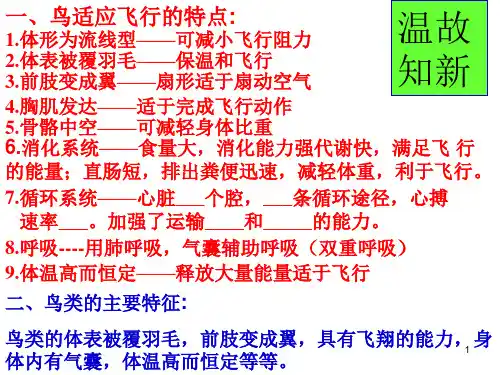 经典课件:空中飞行的动物 第2课时