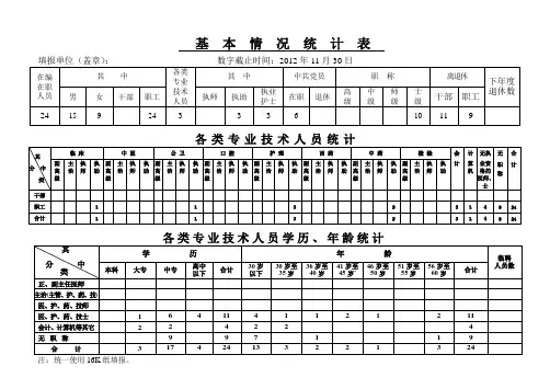 基本情况统计表、各类专业技术人员统计、各类学历、年龄统计