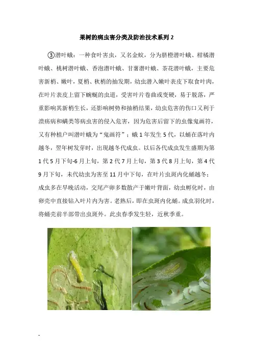 果树病虫害分类及防治技术2