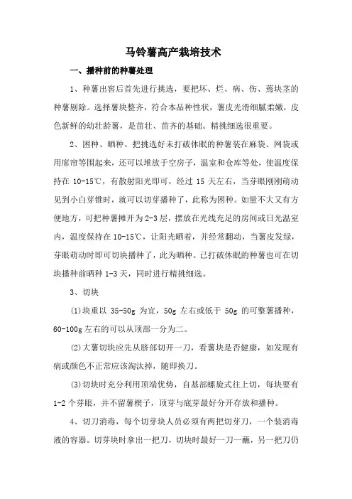 马铃薯高产栽培技术
