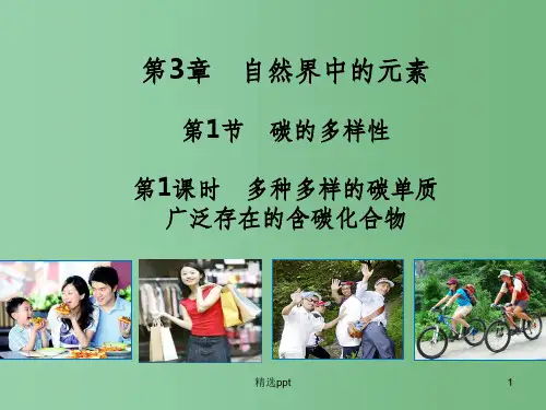 (教师参考)高中化学 3.1.1 多种多样的碳单质 广泛存在的含碳化合物课件2 鲁科版必修1