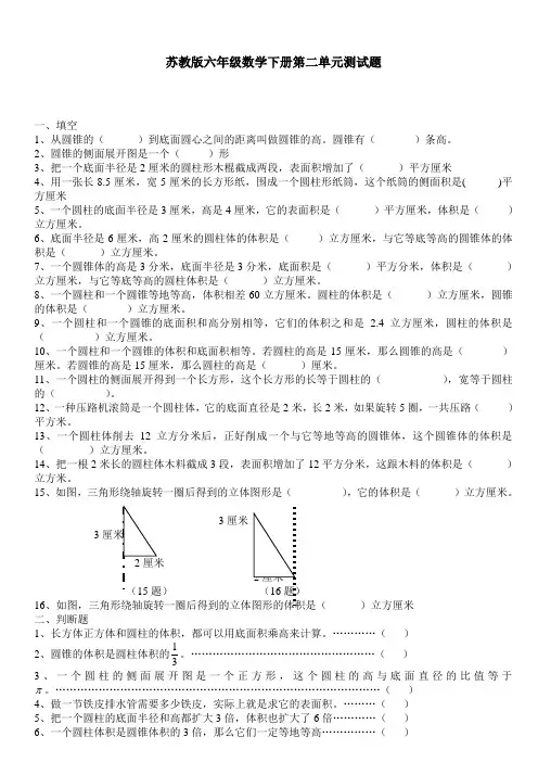 苏教版六年级数学下册第二单元测试题