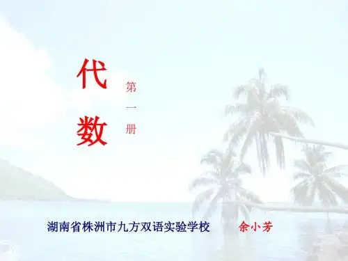 代数式4