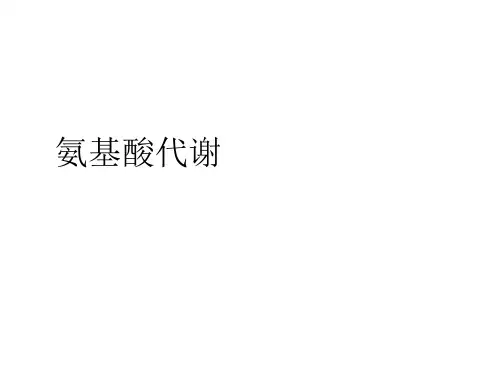 氨基酸代谢