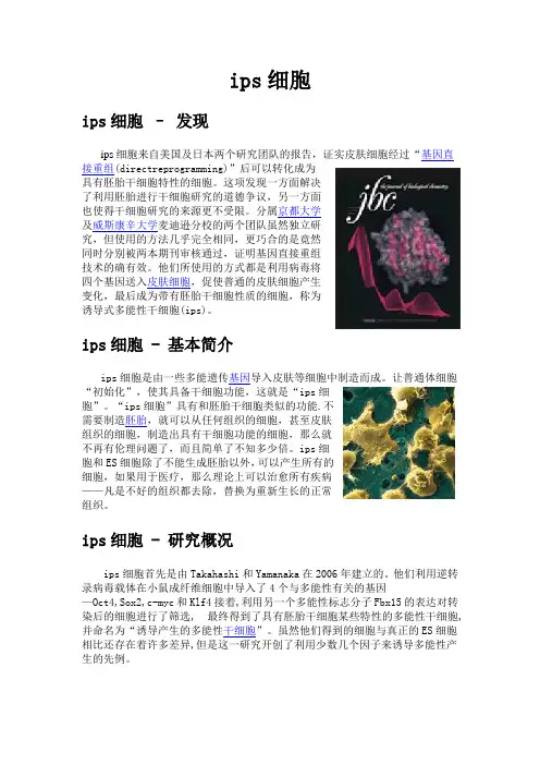 ips简要介绍