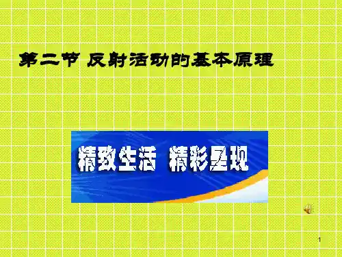 神经调节(可用)-文档资料