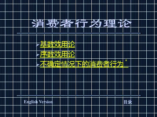 第三章  消费者行为理论(微观经济学,宋来)