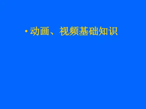 动画视频基础知识