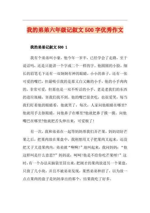我的弟弟六年级记叙文500字优秀作文