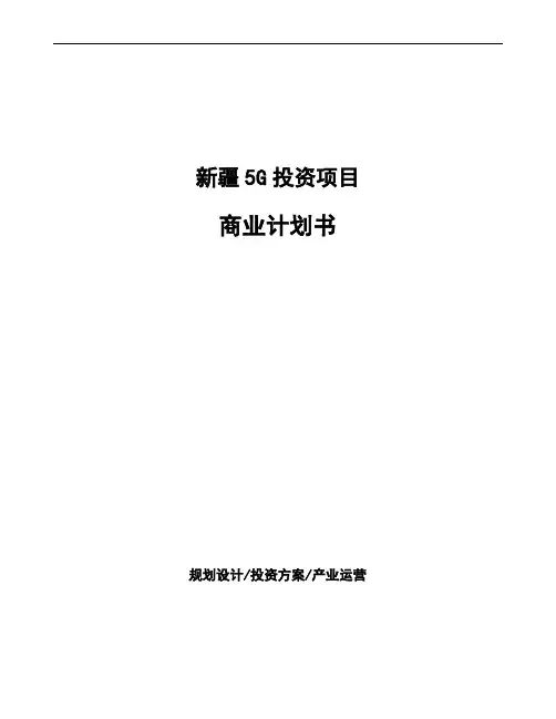 新疆5G投资项目商业计划书