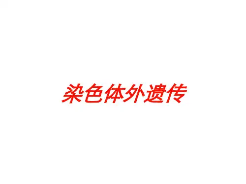 染色体外遗传培训课件