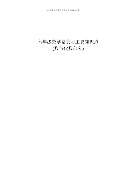 六年级数学总复习主要知识点(数与代数)