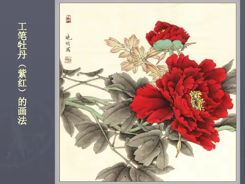 工笔牡丹