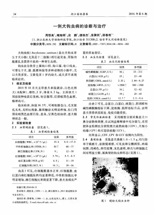一例犬钩虫病的诊断与治疗