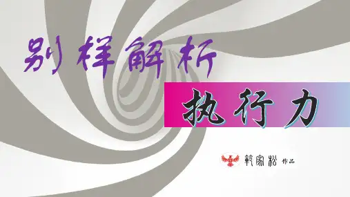 别样解析执行力