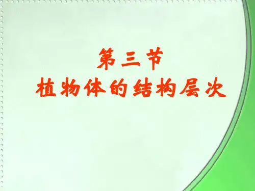 2.2.3植物体的结构层次