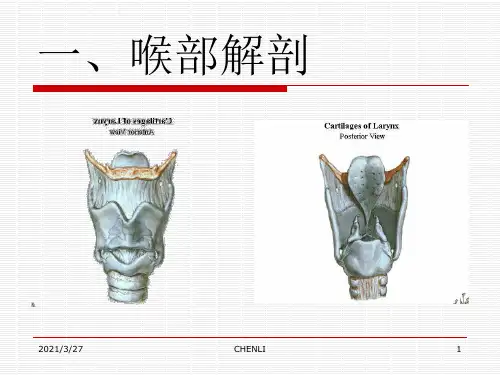 气管插管教学PPT