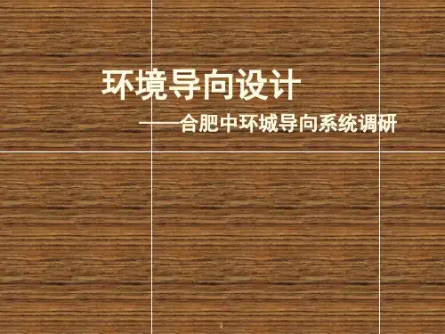 合肥中环城大润发导向