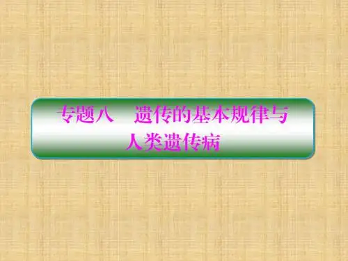 高考生物二轮复习 专题8 遗传的基本规律与人类遗传病名师课件