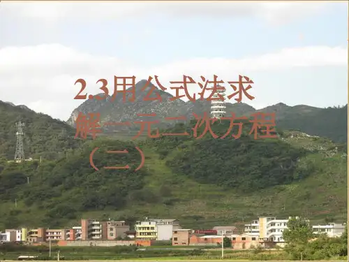 2.3公式法(2)